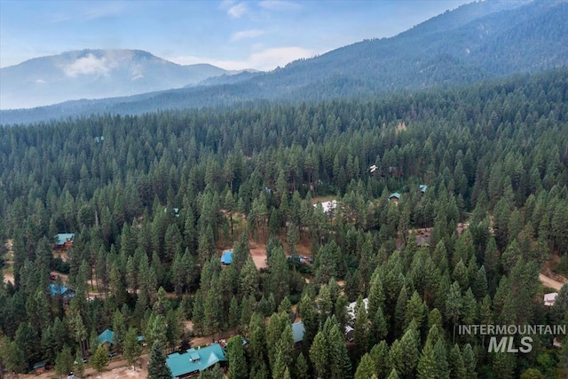 aerial view with a mountain view