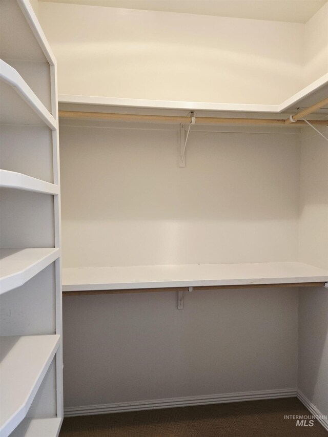 1203 Tara Ct, Fruitland, ID 83619 - walk in closet with dark carpet