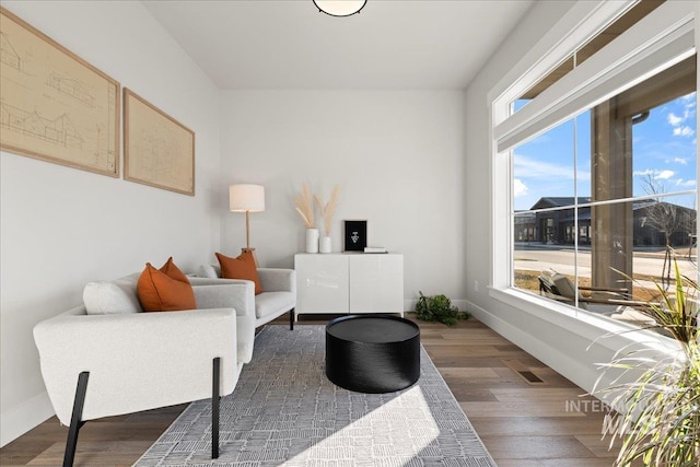 living room featuring dark hardwood / wood-style flooring