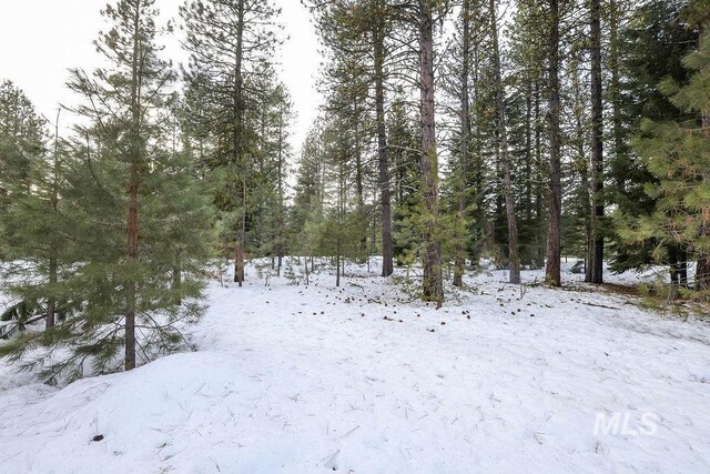 LOT20 Blackhawk Lake Dr, Mccall, ID 83638