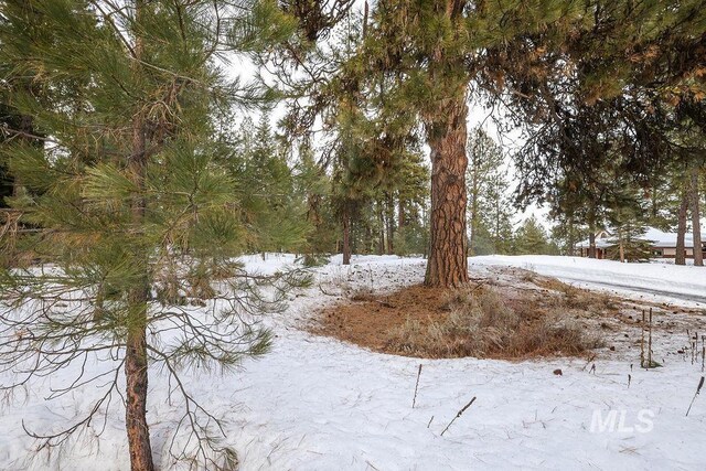 LOT20 Blackhawk Lake Dr, Mccall, ID 83638