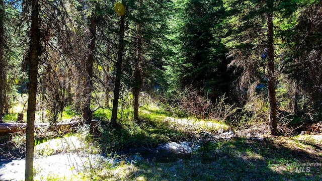 Listing photo 3 for TBD2 Warm Lake Rd, Cascade ID 83611