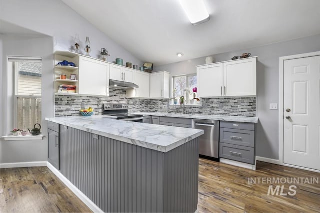1003 Lauren Ln, Filer, ID 83328 - kitchen with under cabinet range hood, vaulted ceiling, gray cabinets, stainless steel appliances, and a sink