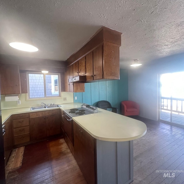 kitchen featuring dark wood-type flooring, a wealth of natural light, kitchen peninsula, and sink