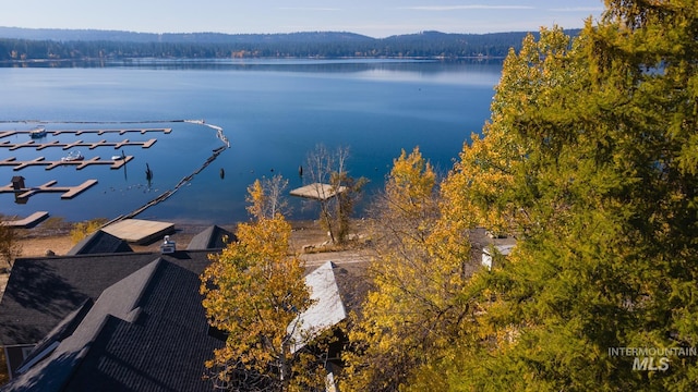 aerial view featuring a water view