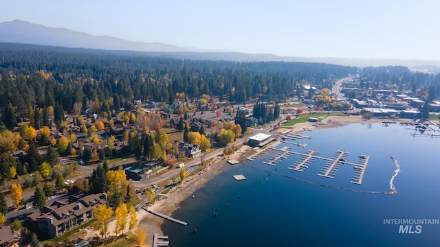 bird's eye view featuring a water and mountain view