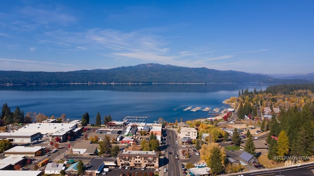 drone / aerial view with a water and mountain view