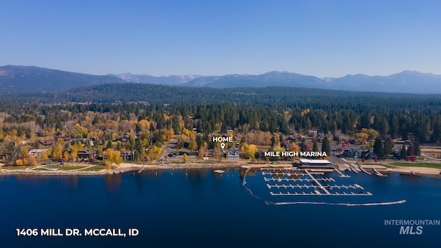 bird's eye view featuring a water and mountain view