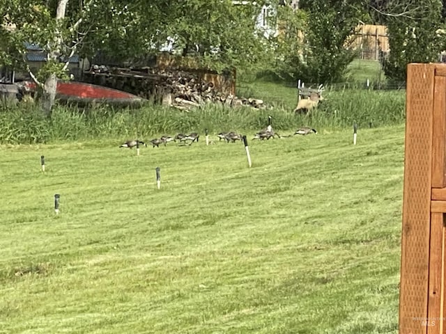 2504 E Hidden Creek St, Nampa, ID 83687 - view of community featuring a lawn