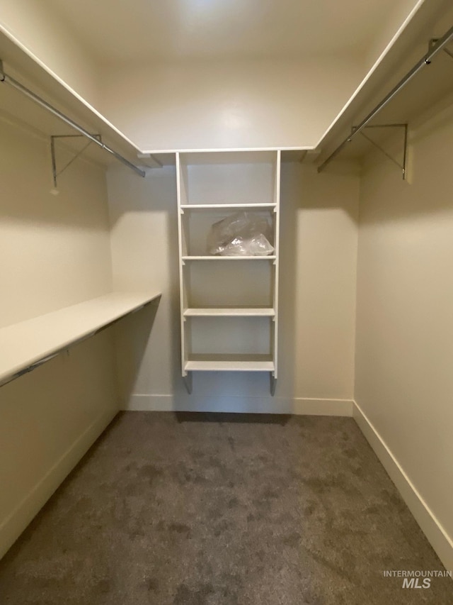 2504 E Hidden Creek St, Nampa, ID 83687 - spacious closet featuring carpet