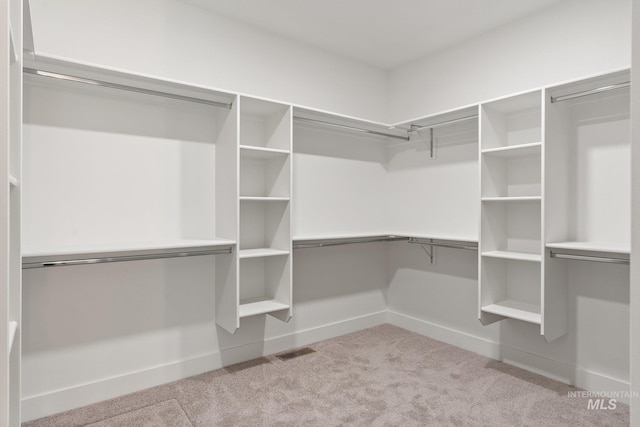 walk in closet with light colored carpet