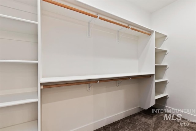 spacious closet with carpet flooring