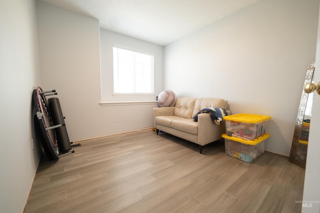 living area featuring light wood-style flooring