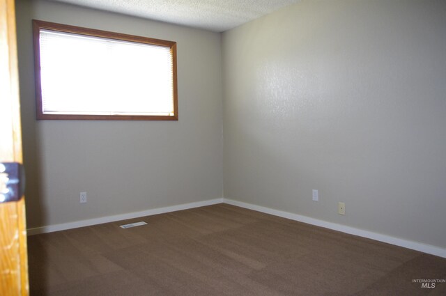 empty room with carpet flooring and a textured ceiling