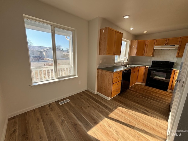 kitchen featuring hardwood / wood-style flooring, sink, black appliances, and plenty of natural light