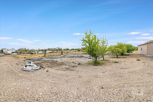4240 N 1400 E, Buhl, ID 83316 - view of yard