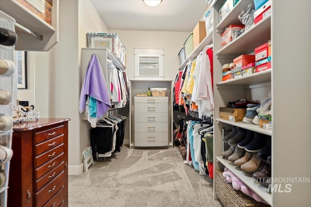 547 S Rivermist Ave, Star, ID 83669 - walk in closet featuring light colored carpet