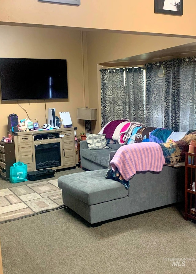 830 Riverside Ave, Orofino, ID 83544 - view of carpeted living room