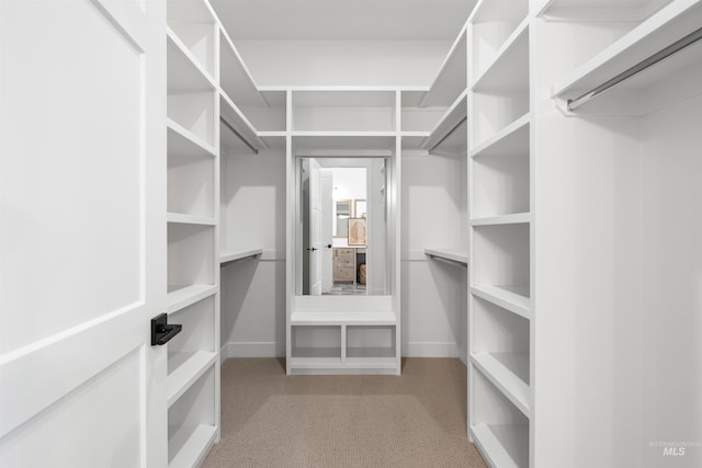 walk in closet featuring carpet flooring
