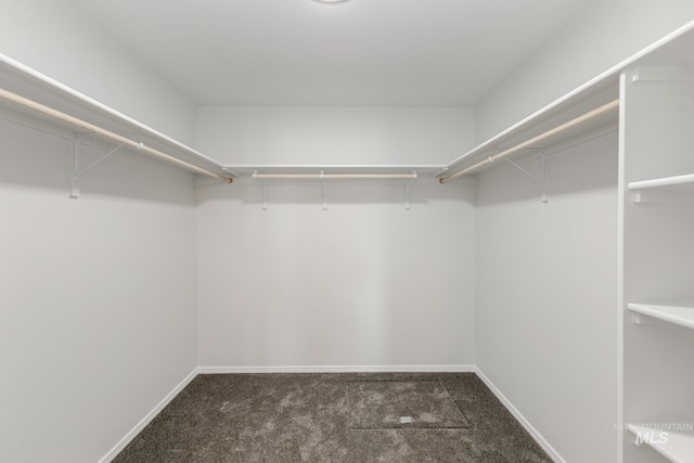 3937 W Tribute St, Meridian, ID 83642 - spacious closet featuring dark carpet