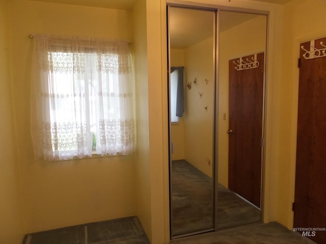 hallway featuring carpet and a healthy amount of sunlight