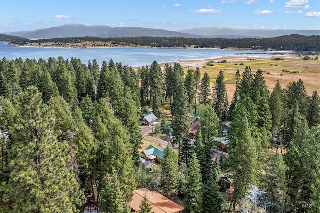 drone / aerial view with a water and mountain view