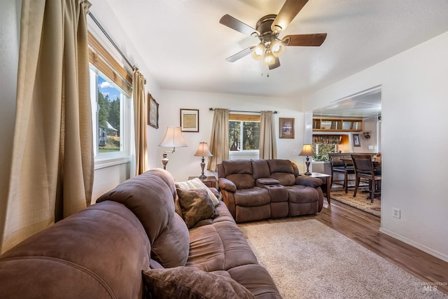 living room with ceiling fan and light hardwood / wood-style flooring