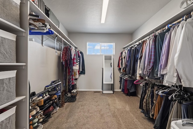 spacious closet with carpet floors