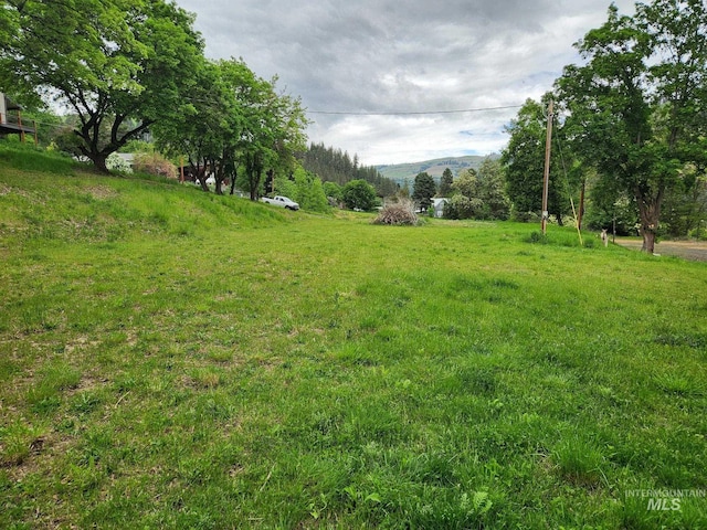 TBD N Marion St, Peck, ID 83545