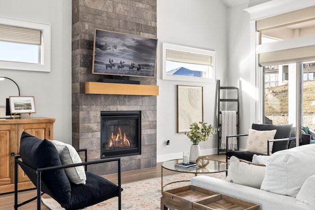 living room featuring a fireplace, hardwood / wood-style floors, and plenty of natural light