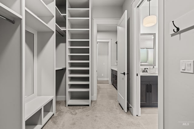 walk in closet with light colored carpet