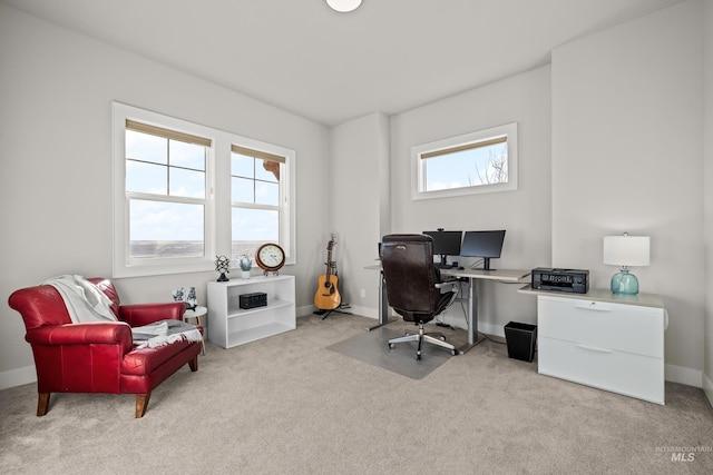 office featuring light colored carpet