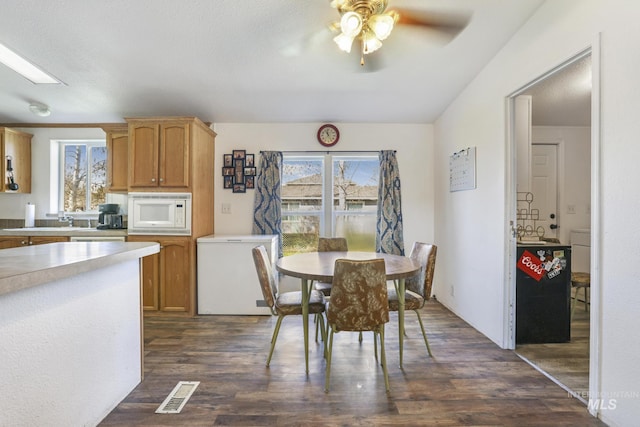 dining area with ceiling fan, dark hardwood / wood-style flooring, and a skylight