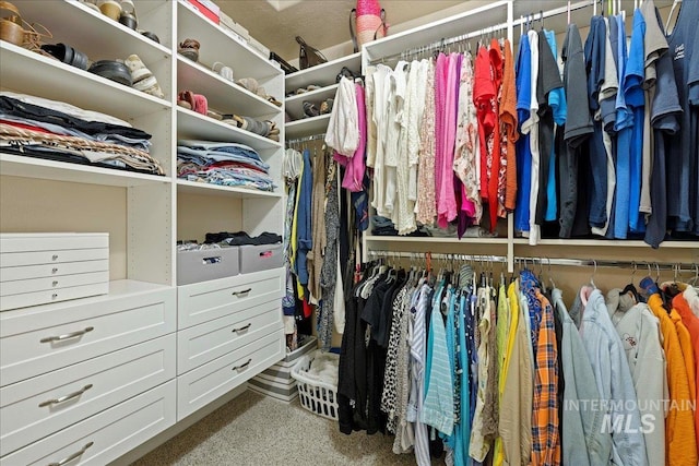 view of spacious closet