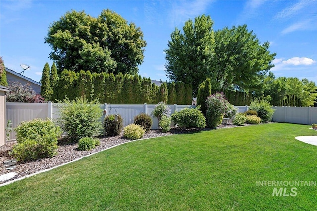 view of yard featuring a fenced backyard