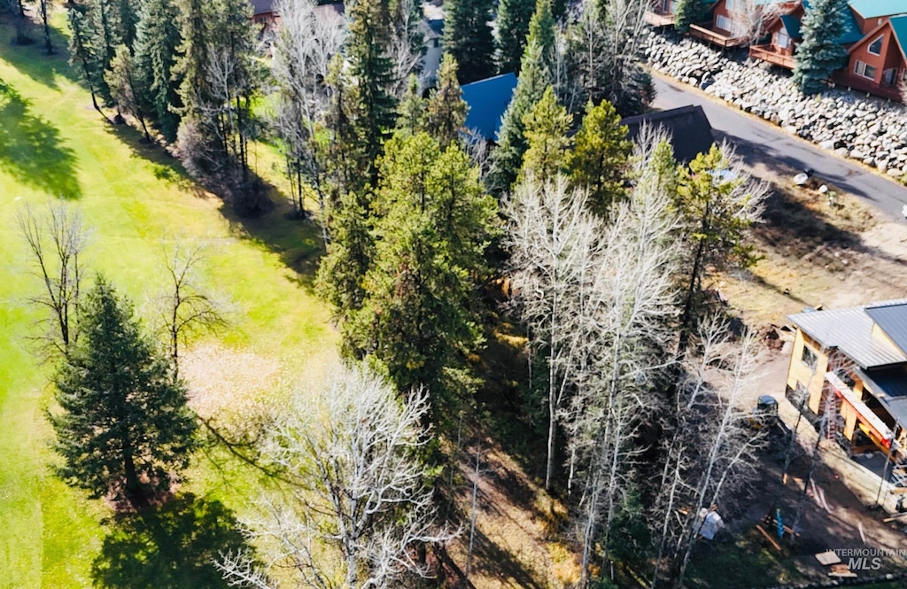 LOT54 Divot Ln, Mccall, ID 83638