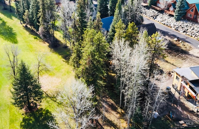 LOT54 Divot Ln, Mccall, ID 83638