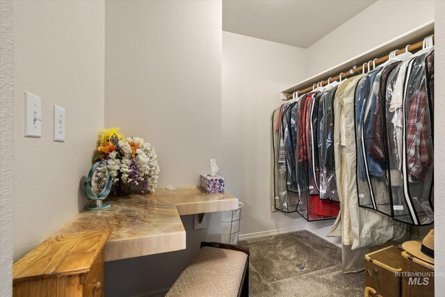 4590 E Stone Falls Dr, Nampa, ID 83686 - spacious closet featuring carpet floors
