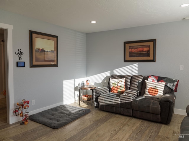 living room with hardwood / wood-style floors