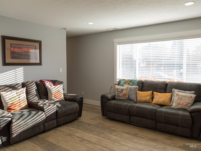 living room with hardwood / wood-style flooring