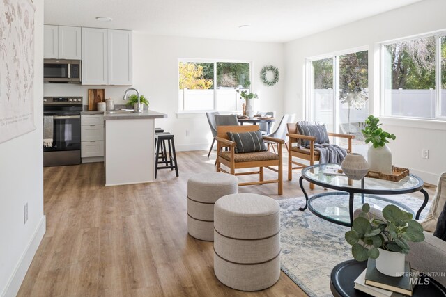 1371 SW Harrier Ave, Mountain Home, ID 83647 - living room featuring baseboards and light wood-style floors
