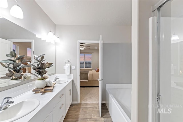 bathroom featuring vanity and separate shower and tub