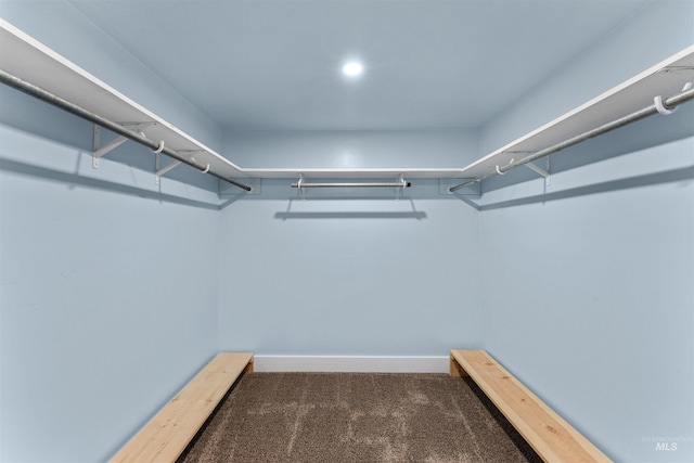 walk in closet featuring carpet flooring