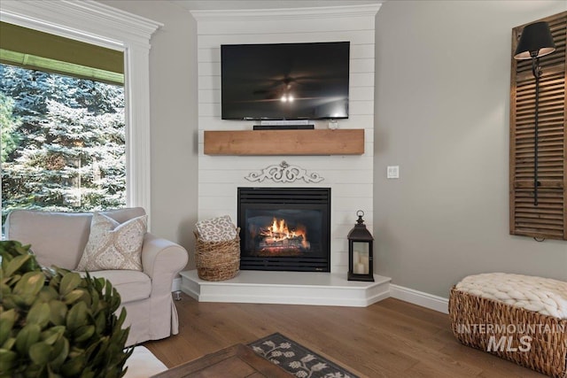 living area featuring a large fireplace and wood-type flooring