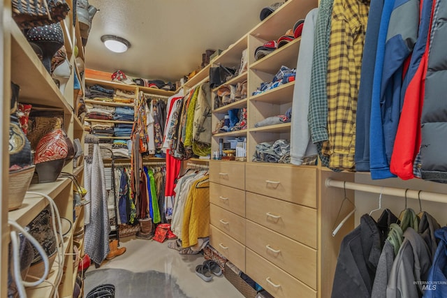 view of spacious closet