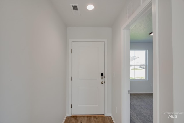 entryway featuring wood-type flooring