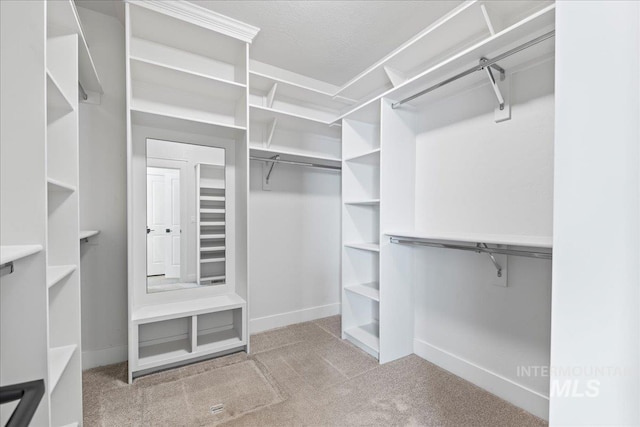 spacious closet featuring carpet floors