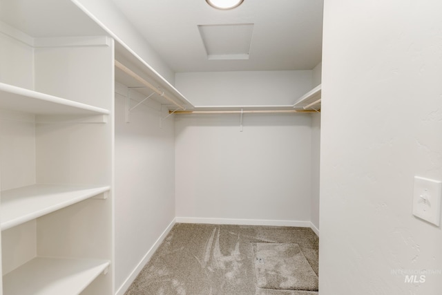 walk in closet with carpet