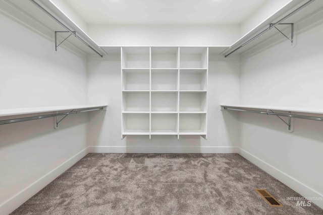 walk in closet with carpet