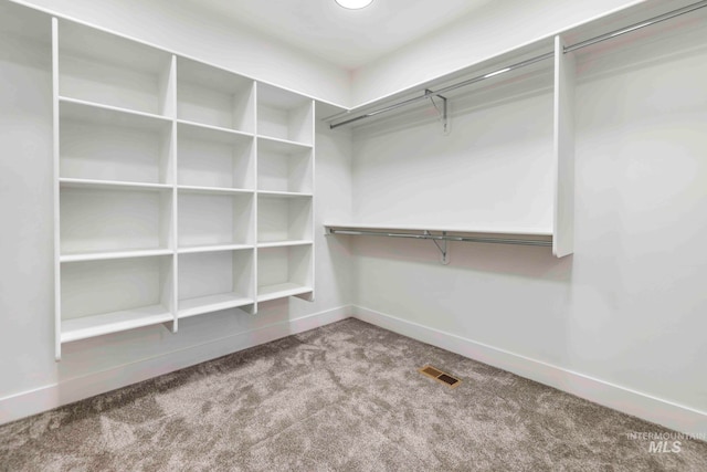 walk in closet with carpet